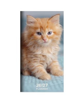 TF Publishing Paper Goods