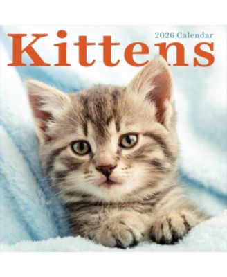 TF Publishing Paper Goods