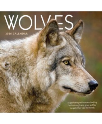 TF Publishing Paper Goods