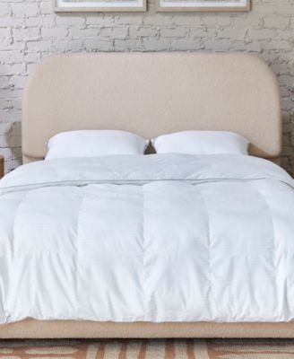 Indulgence by Isotonic