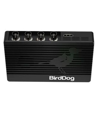 BirdDog