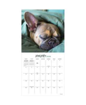 TF Publishing Paper Goods