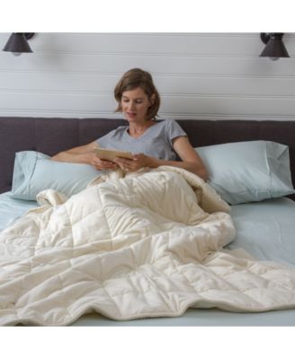 Sealy - Quilted Plush 12lb Weighted Blanket