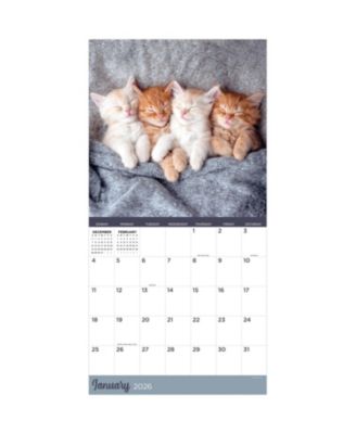 TF Publishing Paper Goods