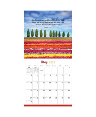 TF Publishing Paper Goods