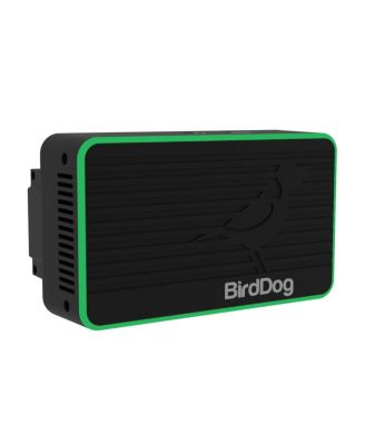 BirdDog