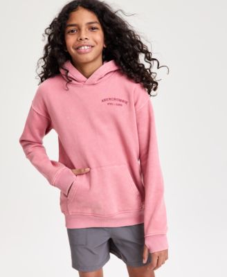 abercrombie kids - Boys' 5-18 Sunfaded Pullover Hoodie