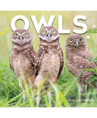 TF Publishing Paper Goods