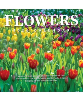 TF Publishing Paper Goods