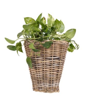 Artifacts Trading Company