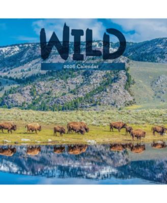 TF Publishing Paper Goods