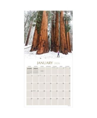 TF Publishing Paper Goods