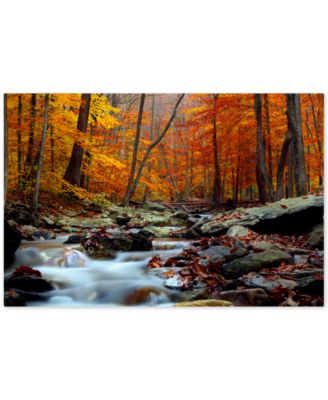 Trademark Global - CATeyes 'Ultimate Truth' Canvas Wall Art