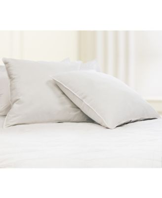 Blue Ridge - 230TC 100% Cotton Feather 2-Pack of Euro Pillows