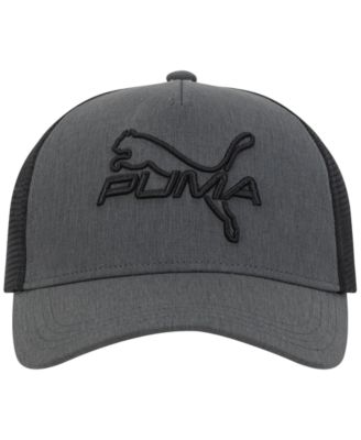 Puma - Men's 3D Embroidered Logo Cap