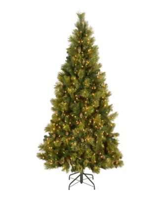 National Tree Company - National Tree 6 .5' Carolina Pine Tree with 650 Clear Lights