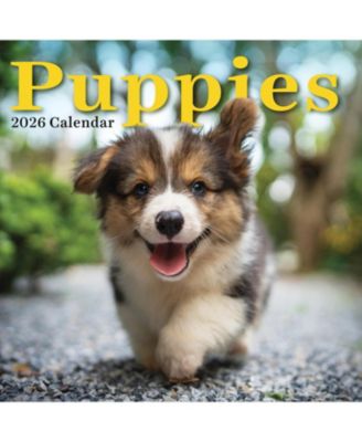 TF Publishing Paper Goods