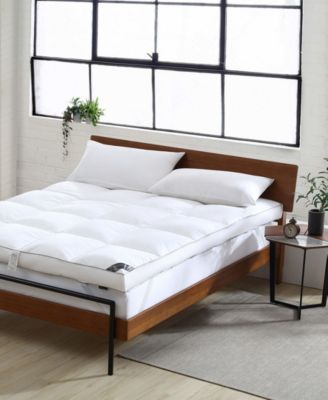 Smithsonian Sleep Collection