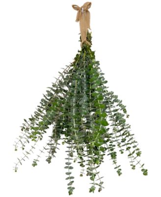 GreenishBlu - Fresh Baby Blue Eucalyptus Bunch