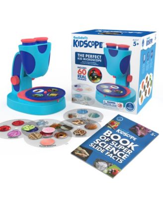 Educational Insights