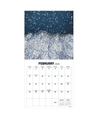 TF Publishing Paper Goods