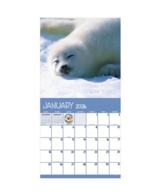 TF Publishing Paper Goods