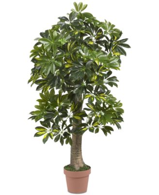 Nearly Natural - 4' Schefflera Real Touch Tree