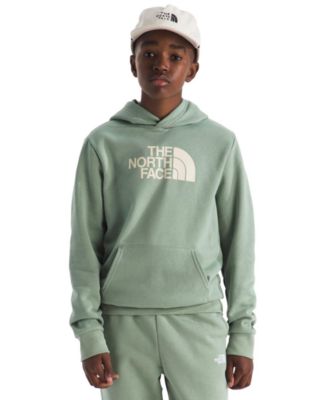 The North Face - Big Boys Evolution Half Dome Pull On Hoodie