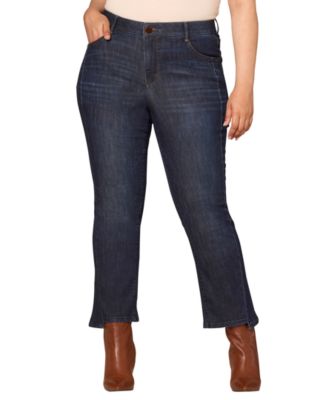 Democracy - Plus Size Sky Rise Jeans